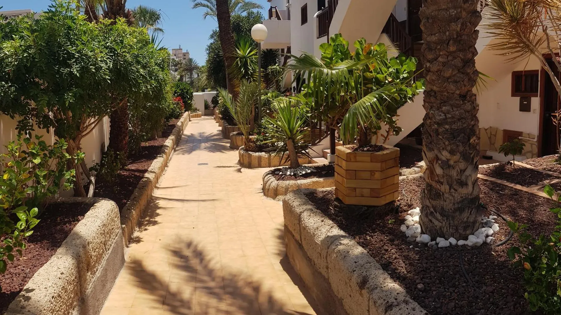 Apartament Paraiso Royal Las Americas Playa de las Americas  Hiszpania